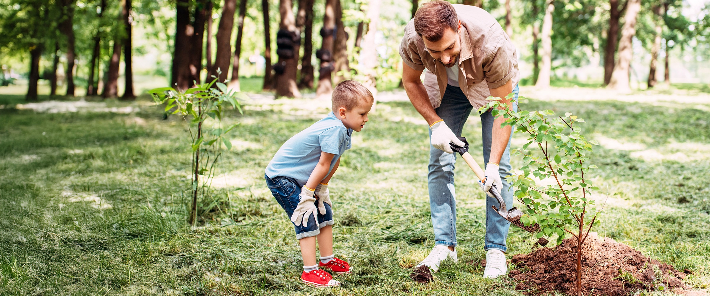 Photo of dad and son planting a tree.