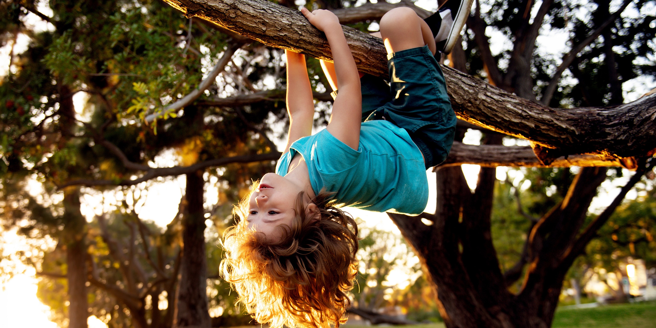 Photo of a young girl hanging upside down from a tree branch.