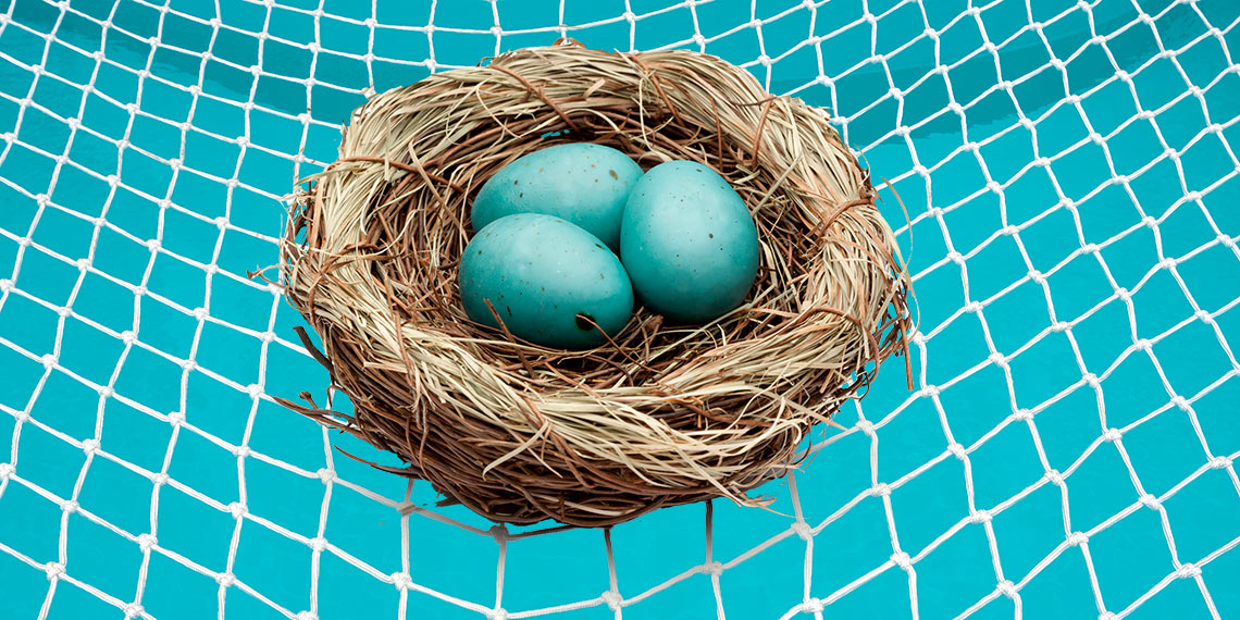 An image of a nest of eggs.