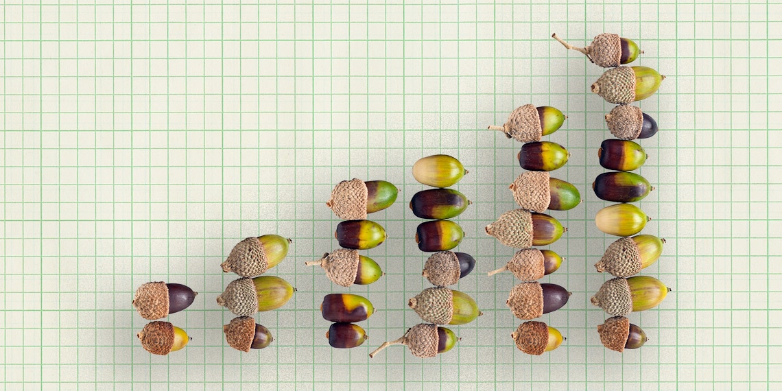 A bar chart made up of increasing numbers of acorns.